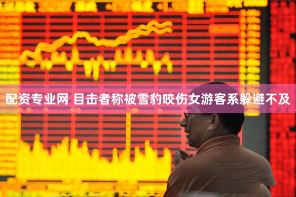 配资专业网 目击者称被雪豹咬伤女游客系躲避不及